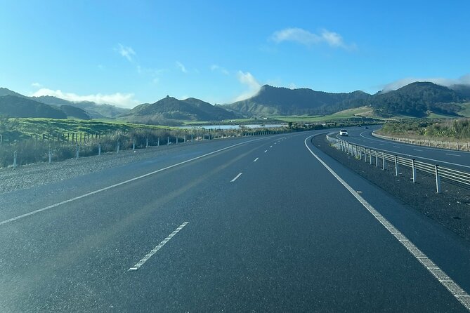Private Transfer From Auckland Airport To Hamilton - The 90-minute ride to Hamilton
