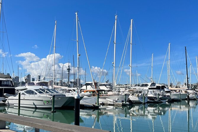 Private Transfer From Auckland Airport To Hibiscus Coast - Booking Details That Matter