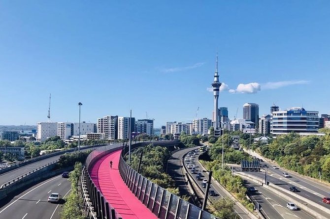 Private Transfer From Auckland CBD Hotels To Cruise Ship - The $124.11 price and what you receive