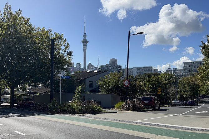 Private Transfer From Auckland City To Auckland Airport - The Vehicle and Comfort Level