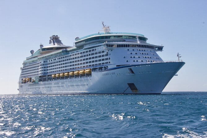 Private Transfer from Auckland Cruise Port to Auckland - Clean Vehicles for Small Parties and Large Groups