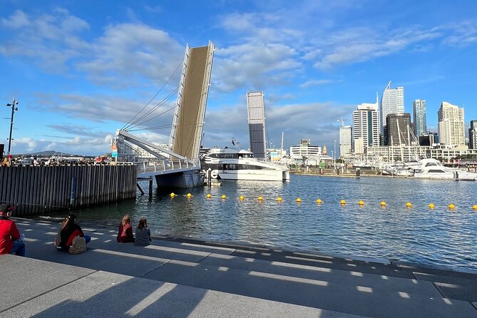 Private Transfer From Auckland Domestic Airport To Auckland City - Booking details that can prevent problems