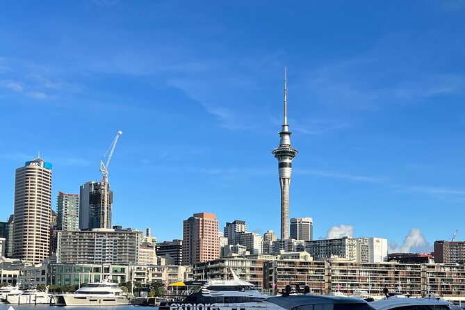 Private Transfer From Auckland Domestic Airport To Auckland City - Is this Auckland transfer worth booking?