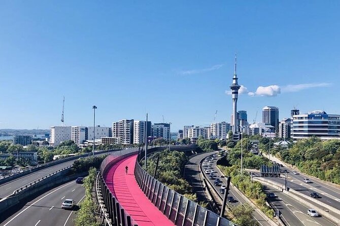 Private Transfer From Auckland International Airport To Auckland City - Key points to know before you book