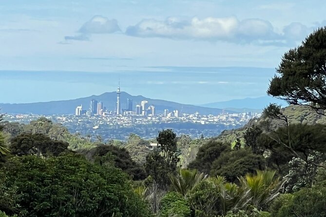 Private Transfer From Auckland International Airport To Auckland City - Service from Sanjeev, Mahendra, and Mohammed