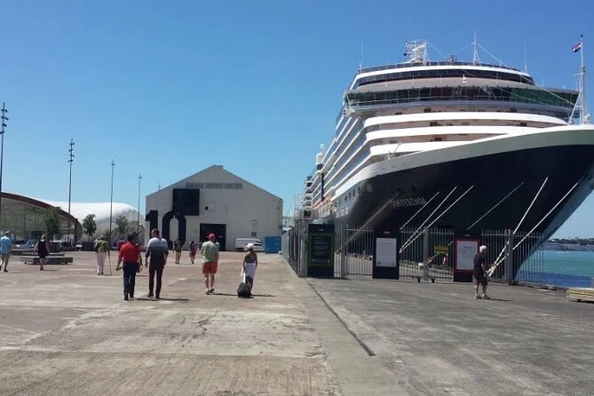 Private Transfer From Cruise Ship To Auckland Airport - What the driver service is meant to provide