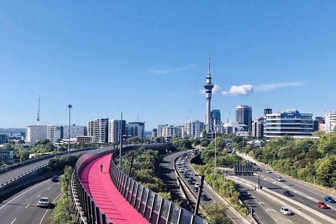 Private Transfer From Cruise Ship To Auckland CBD Hotels - Luggage space that helps after a cruise