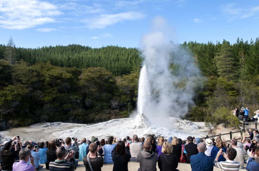 Private VIP Luxury Auckland - Rotorua Geothermal Wonderlands - Key points to know before booking
