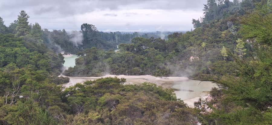 Private VIP Luxury Auckland - Rotorua Geothermal Wonderlands - Lunch gives Rotorua a proper pause