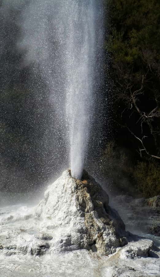 Private VIP Luxury Auckland - Rotorua Geothermal Wonderlands - Wai-O-Tapu shows nature at its strangest