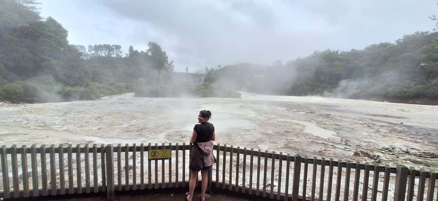 Private VIP Luxury Auckland - Rotorua Geothermal Wonderlands - The return trip is part of the real cost