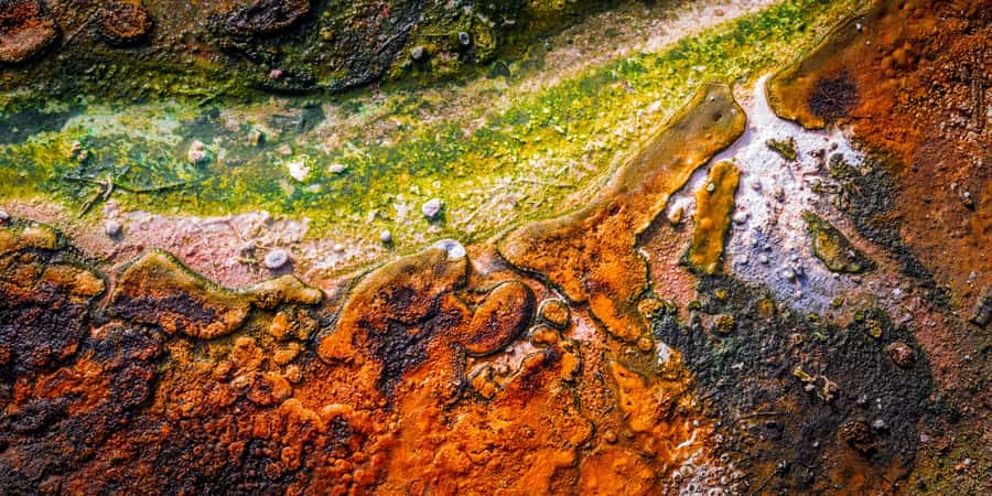 Private VIP Luxury Auckland - Rotorua Geothermal Wonderlands - Who will enjoy this day most