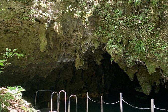 Private Waitomo Caves Tour - Auckland Tour House - Why this private day trip makes sense from Auckland