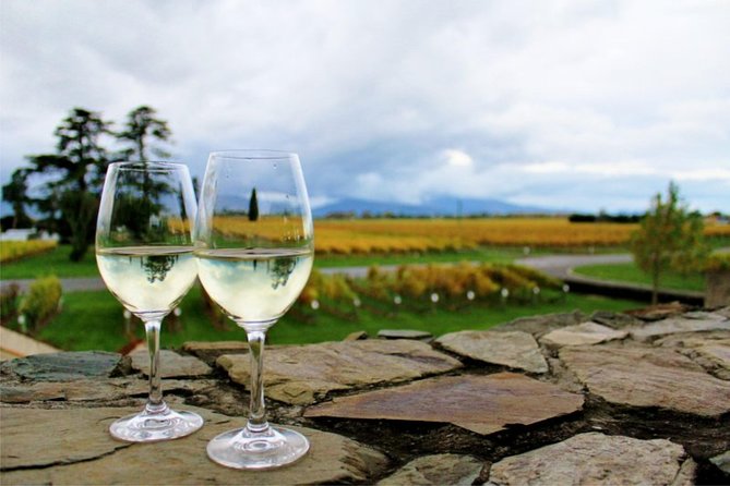 Private Wine Gourmet and Scenic Delights Tour from Blenheim - Regional Food Stops Beyond the Cellar Doors