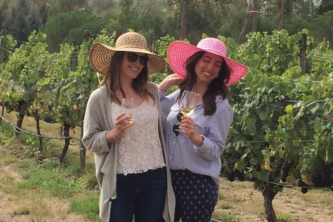 Private Wine Gourmet and Scenic Delights Tour from Blenheim - Why the Private Format Matters for Wine Tasting