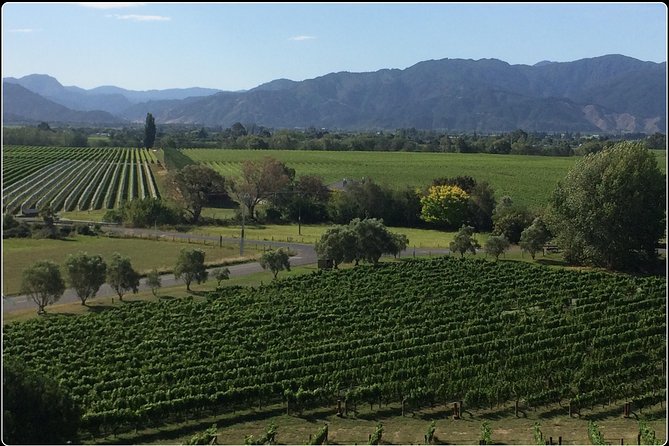 Private Wine Gourmet and Scenic Delights Tour from Picton - Key points at a glance