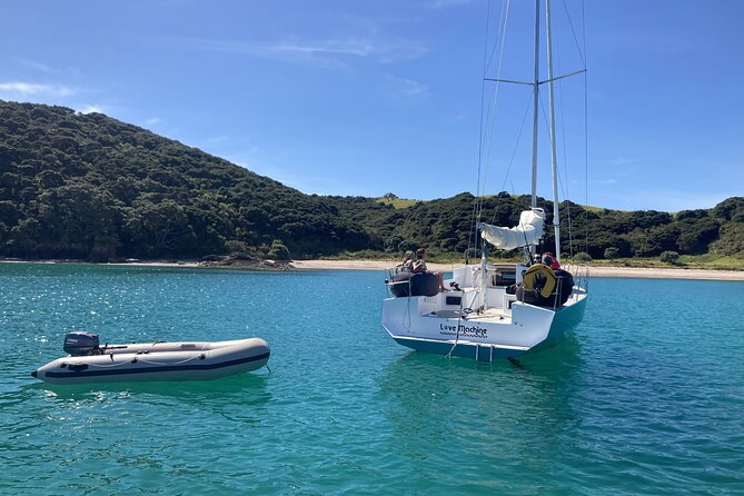 Private Yacht Charter and Island Excursions in the Bay of Islands - Timing, Weather, and Practical Value