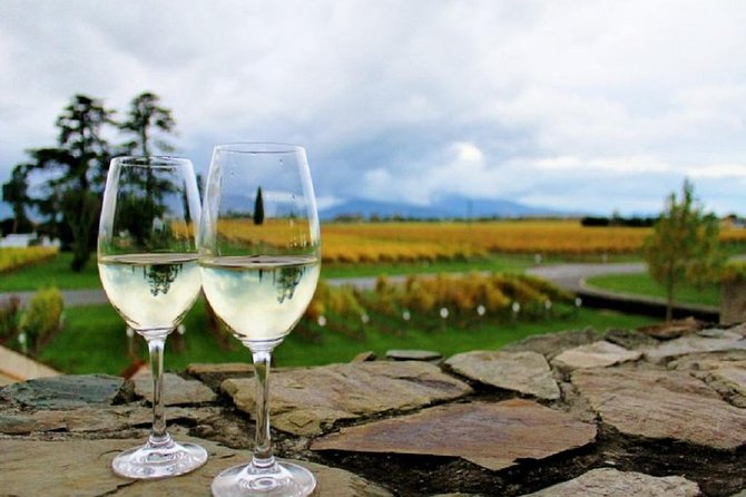 Progressive Wine and Gourmet Trail of Marlborough - Key points to know before you book