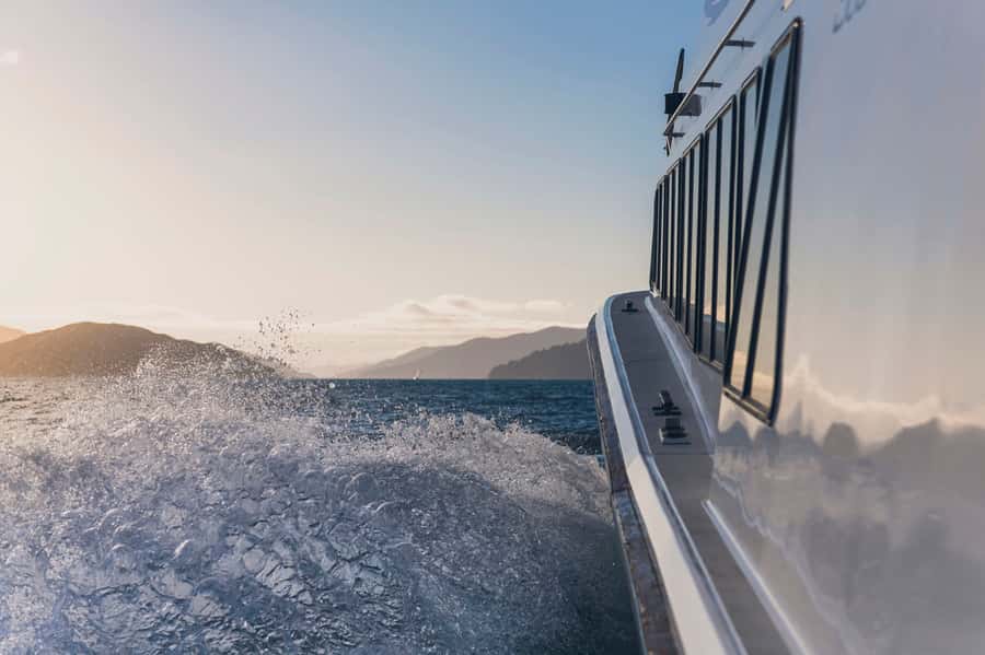 Queen Charlotte Sound Cruise with Lunch - Lunch with a view, without the drinks