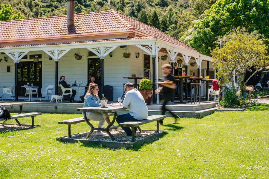 Queen Charlotte Sound Cruise with Lunch - Is the $96 price good value?