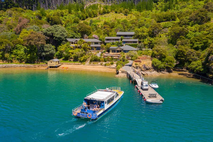Queen Charlotte Sound: Lochmara Cruise & Explore 9-2.45 - Key points to know before you go