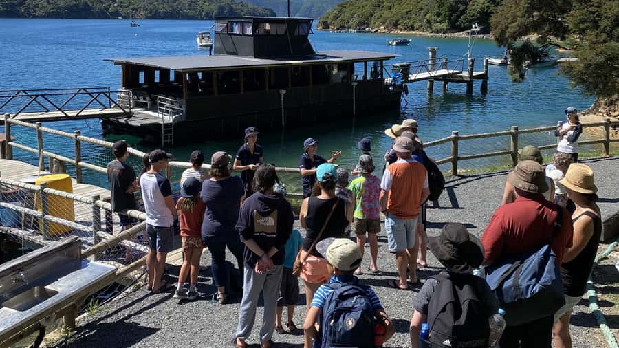 Queen Charlotte Sound: Lochmara Cruise & Explore 9-2.45 - Getting your bearings at Lochmara Lodge