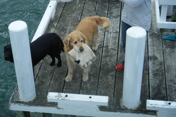 Queen Charlotte Sound Mail Boat Cruise - Ship Cove and the limits of the itinerary