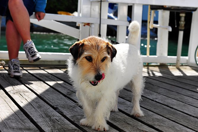 Queen Charlotte Sound Mail Boat Cruise - Skipper commentary can make or break the afternoon