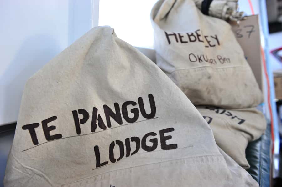 Queen Charlotte Sound Mail Boat Cruise from Picton - Key points to know before you go