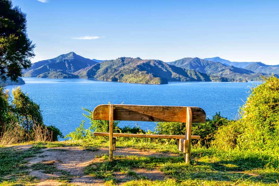 Queen Charlotte Track: Cruise & Self-Guided Hike from Picton - Why this Picton day trip works so well