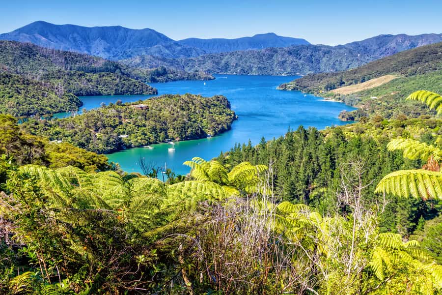 Queen Charlotte Track: Cruise & Self-Guided Hike from Picton - Ship Cove and the Captain Cook connection
