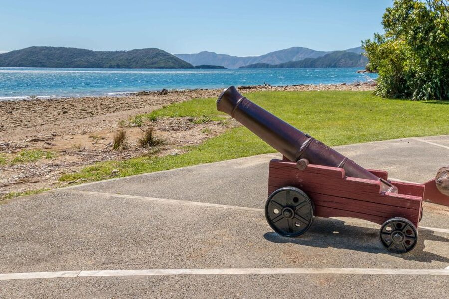 Queen Charlotte Track: Cruise & Self-Guided Hike from Picton - What the Queen Charlotte Track feels like underfoot