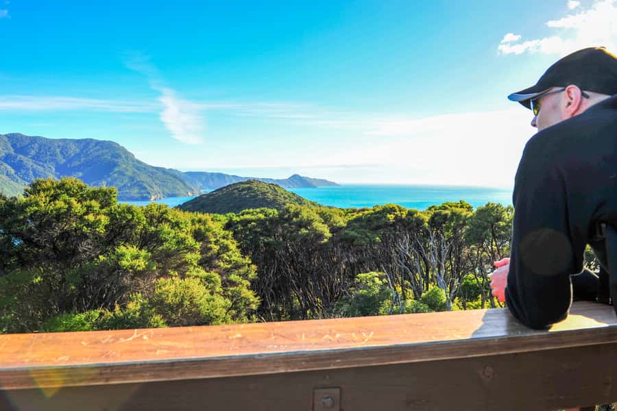 Queen Charlotte Track: Cruise & Self-Guided Hike from Picton - What to pack for a comfortable day