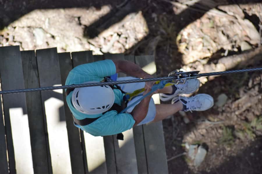Queenstown: 2-Hour Zipline Tour with 4-Lines - Eight platforms with stories, tricks, and forest views