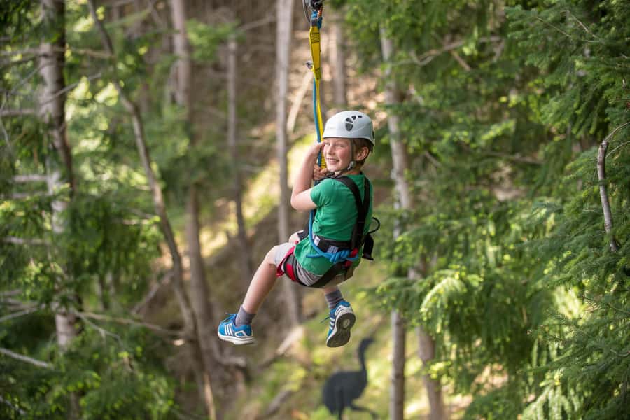 Queenstown: 2-Hour Zipline Tour with 4-Lines - The walk between platforms and what it means for you