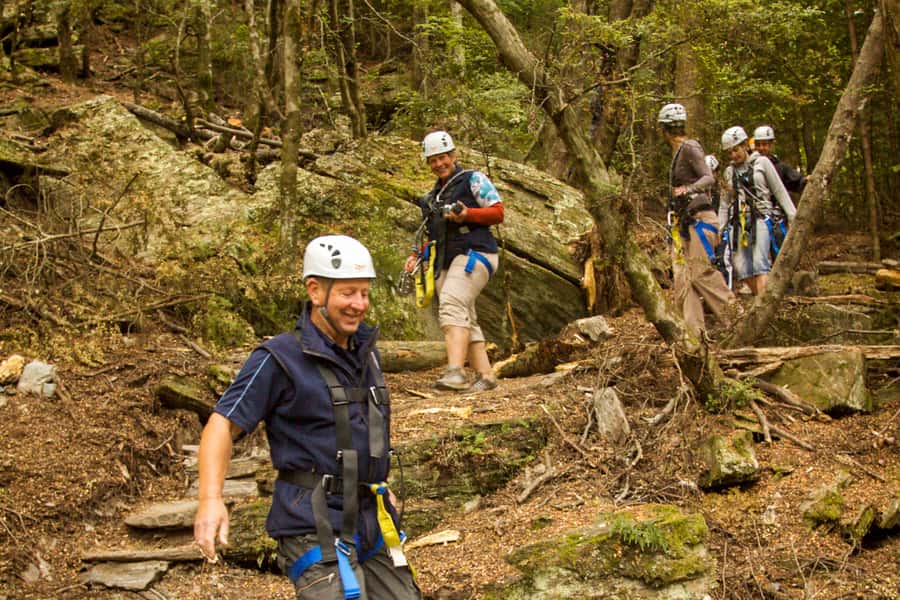 Queenstown: 3-Hour Zipline Adventure with 6-Lines - Starting at Skyline and Bob’s Peak