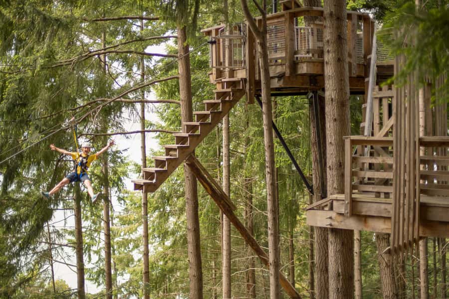 Queenstown: 3-Hour Zipline Adventure with 6-Lines - Six lines that build confidence