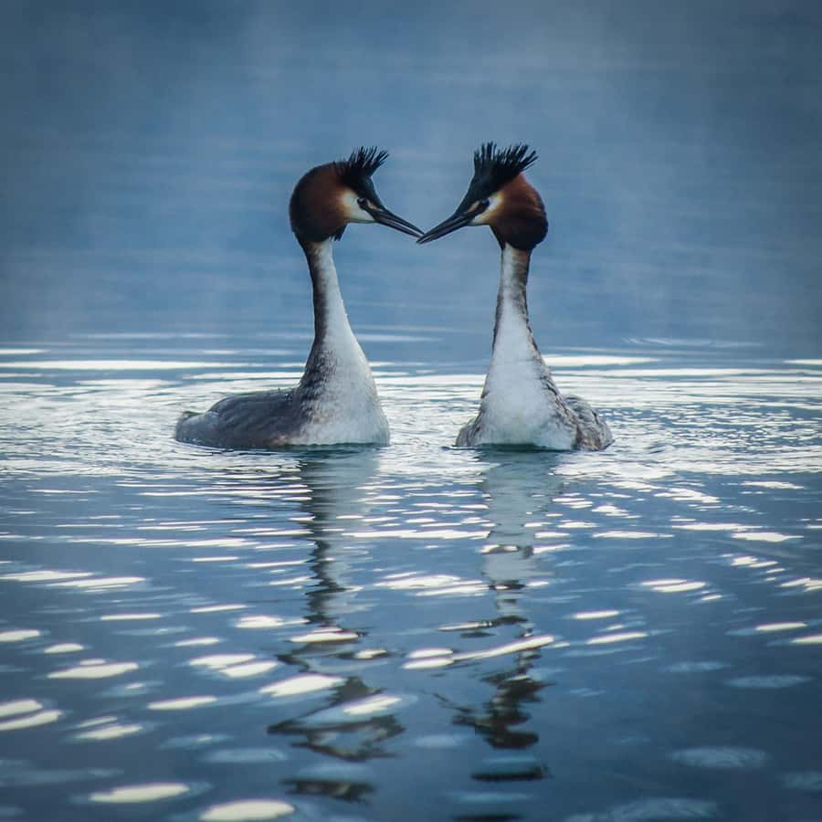 Queenstown and Environs: Full Day Private Photography Tour - Booking details that affect your decision