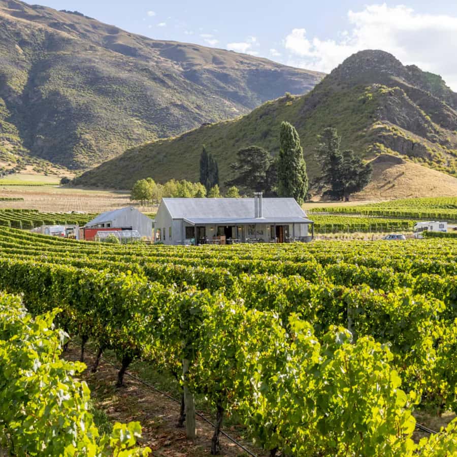 Queenstown, Arrowtown, Gibbston: Flexible Wine Hopper Tours - The freedom to build your own afternoon