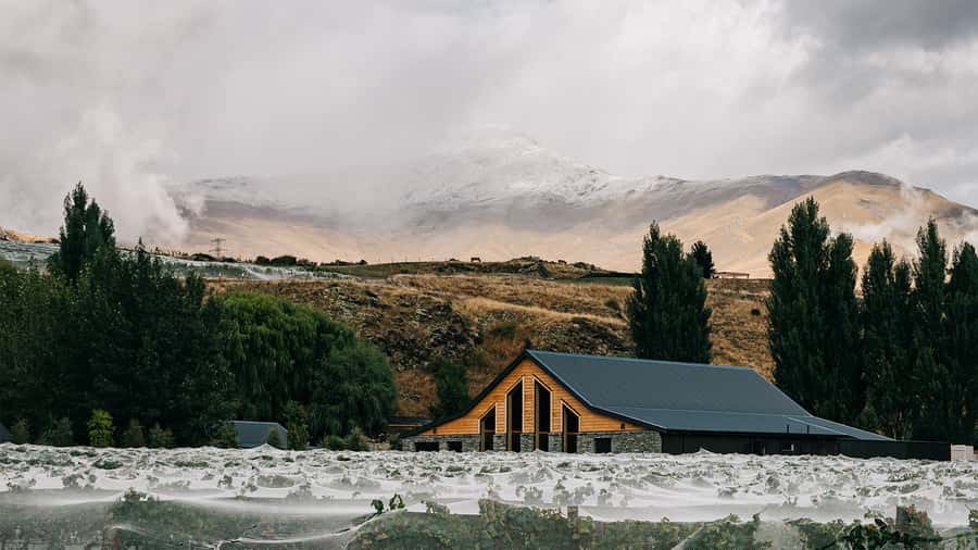 Queenstown: Classic Central Otago Wine Tasting Experience - Five wine names, one useful tasting