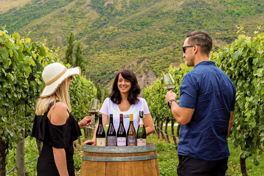 Queenstown: Classic Wine Tour - Inside Gibbston Valley’s underground wine cave