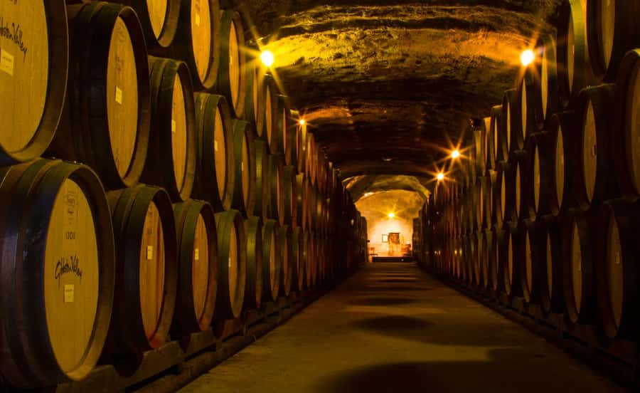 Queenstown: Classic Wine Tour - What the guide adds to the day