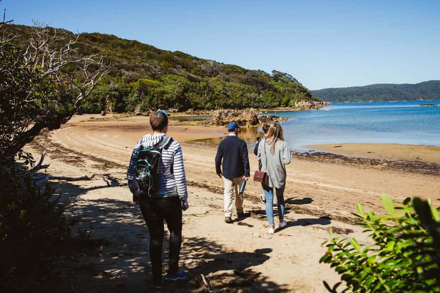 Queenstown: Day Trip to Stewart Island via Scenic Flight - Ulva Island for a focused wildlife outing