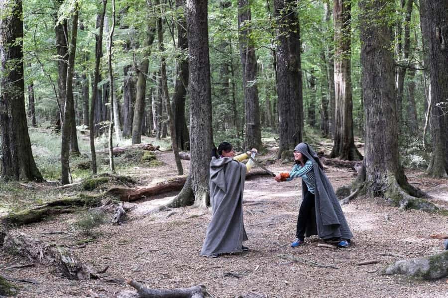 Queenstown: Full-Day 4WD Lord of Rings Tour with Lunch - Bringing movie scenes to life with props and guide commentary