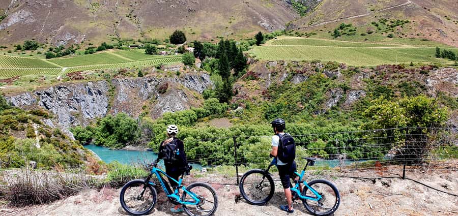 Queenstown: Guided E-Bike Tour with Winery Visits & Tastings - The best parts of the day at a glance
