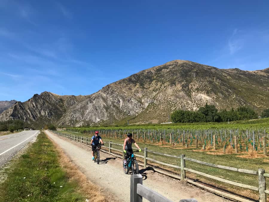 Queenstown: Guided E-Bike Tour with Winery Visits & Tastings - Who should book it, and who should think twice