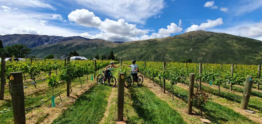 Queenstown: Guided E-Bike Tour with Winery Visits & Tastings - Why this tour works better than a standard winery shuttle