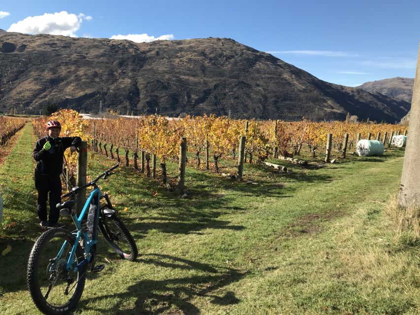 Queenstown: Guided E-Bike Tour with Winery Visits & Tastings - What the $194 price includes