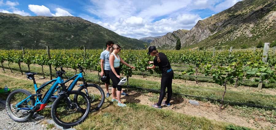 Queenstown: Guided E-Bike Tour with Winery Visits & Tastings - Starting in Frankton and getting set up