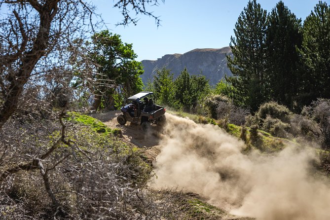 Queenstown Guided Self-Drive Buggy Tour - The cost and what you receive